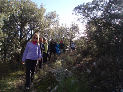 Alcornocal de Sestrica